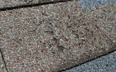 What Should I Know About my Shingle Warranty?