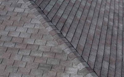 The 5 Most Popular Shingle Styles for Your Roof