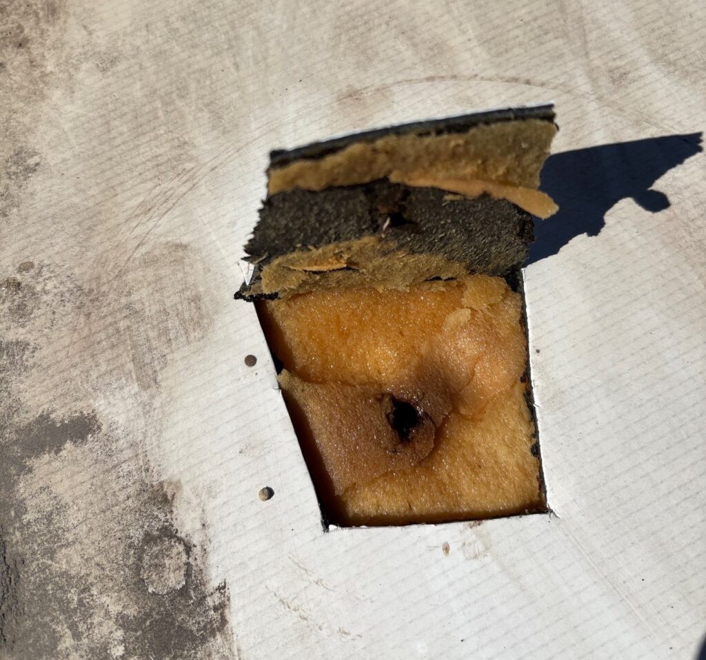 Close-up view of a commercial roof cutout exposing saturated insulation beneath a TPO membrane. The insulation is visibly discolored, darkened, and waterlogged.