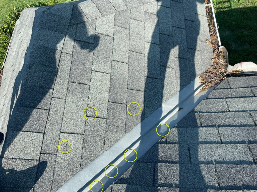 Yellow circles highlight hail impacts on an asphalt shingle roof.