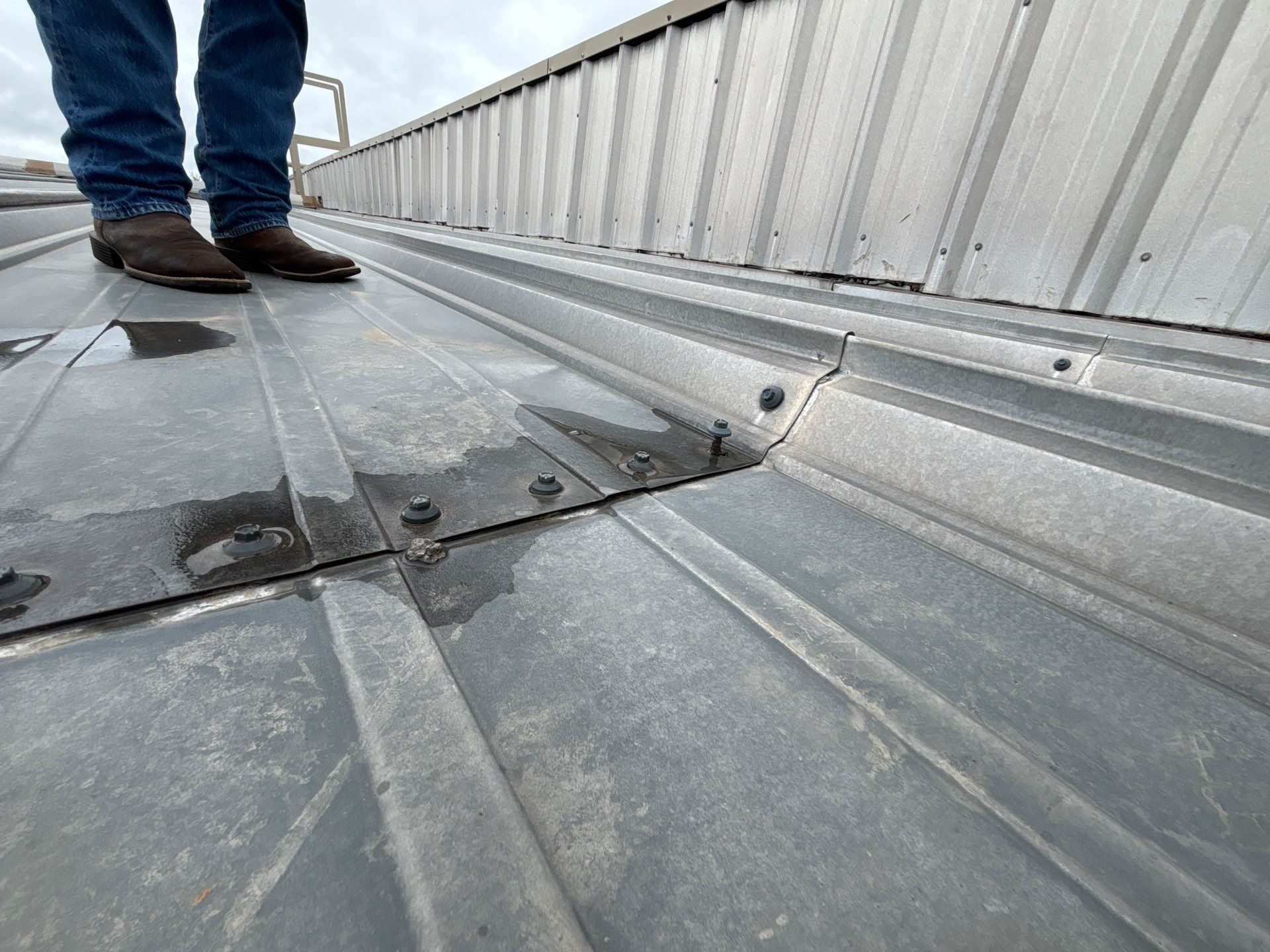 Securement between metal panels pulling out on a standing seam commercial low slope roof due to thermal expansion.