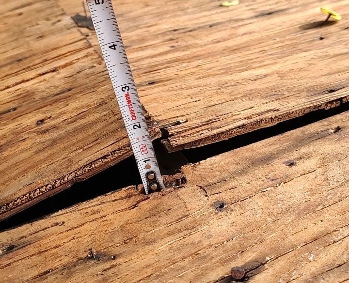Buckled plywood roof decking showing an inch-and-a-half of elevation between buckled boards.