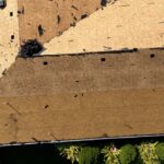 OSB Roof Decking on a stripped roof during a roof replacement with gutters, foliage, and tar paper visible.