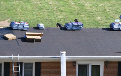 Can My Pets Handle a Roof Replacement?