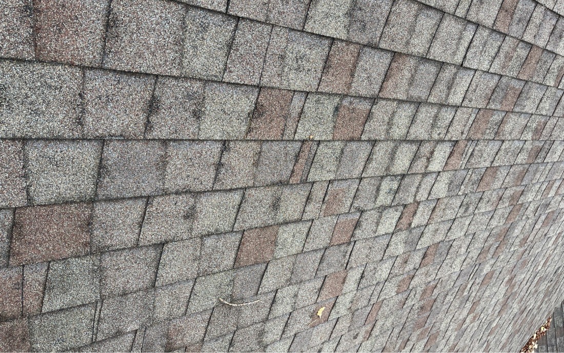 Severe Degranulation from Hail Strikes on an Asphalt Shingle Roof An asphalt shingle roof with localized degranulation where hail has struck.