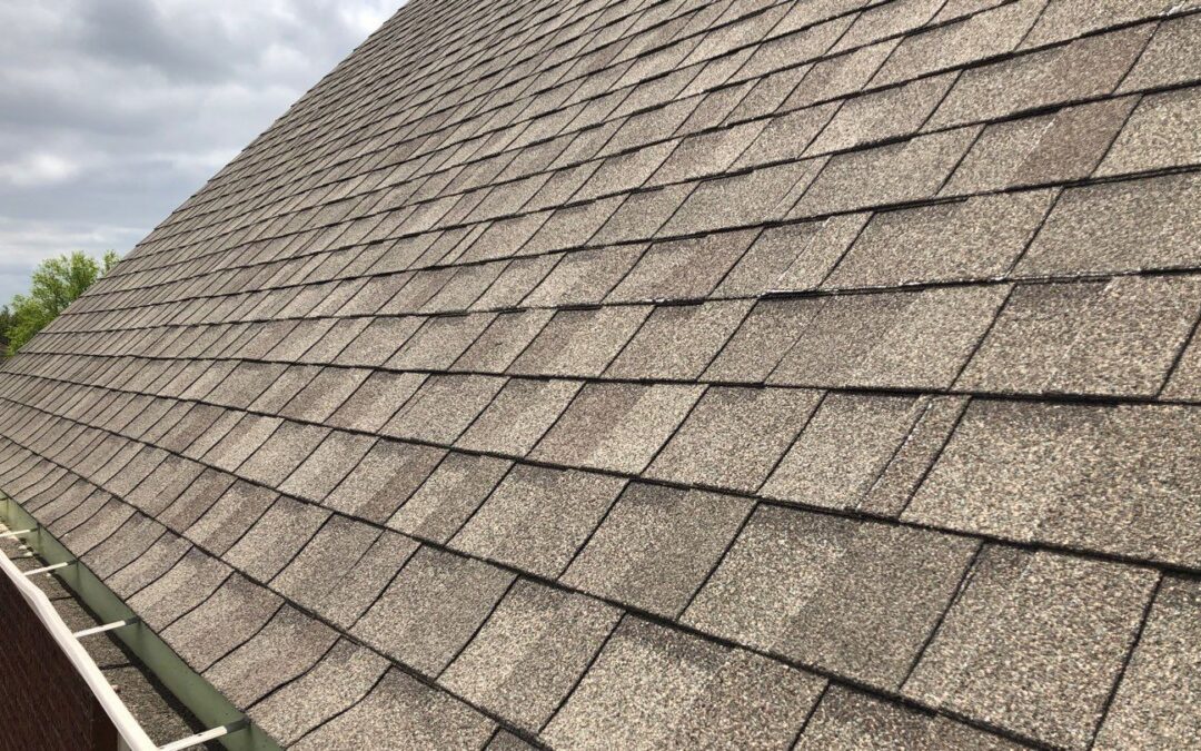 Eave