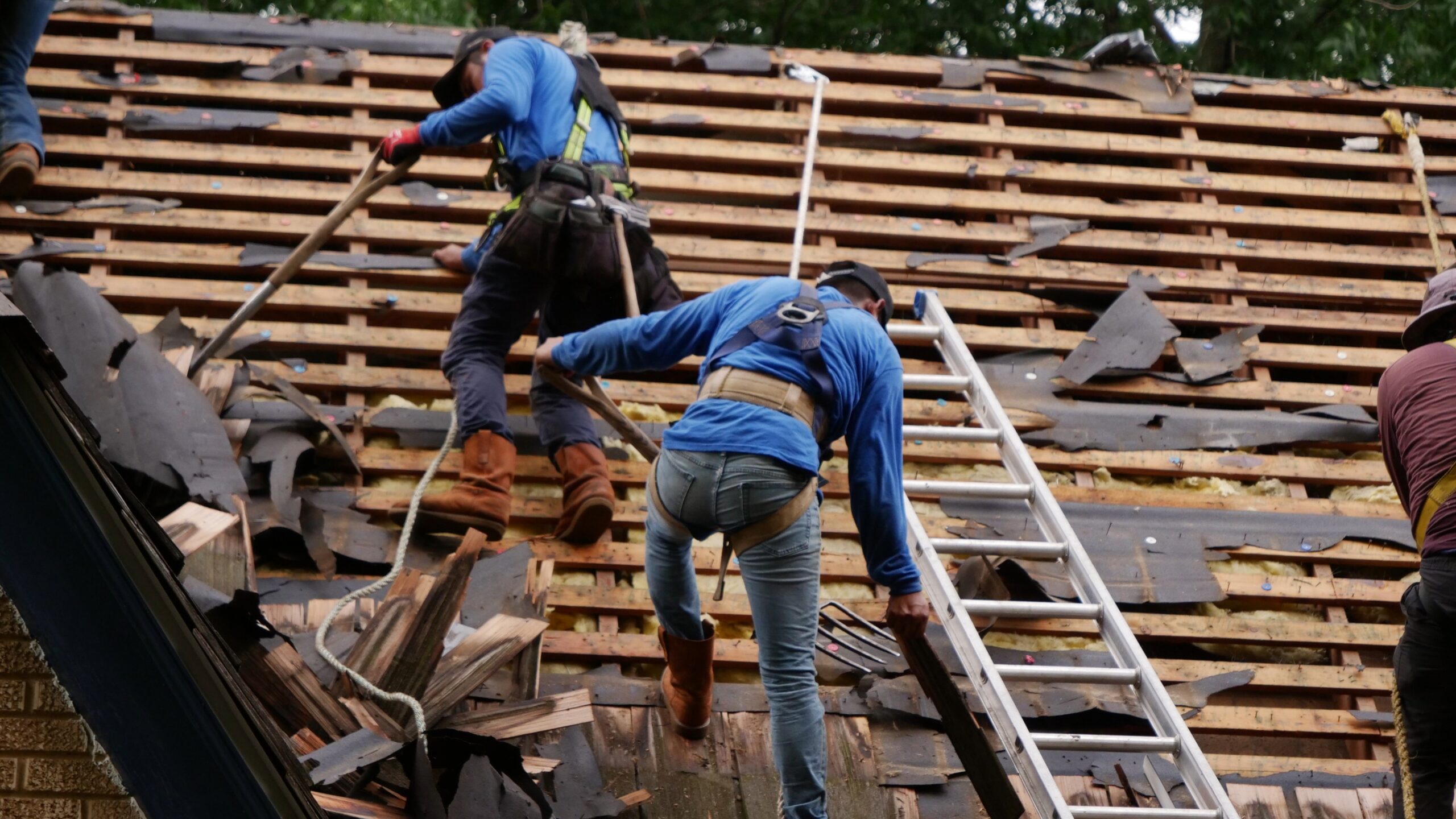 Crew Tear-Off with Harnesses Wood Shake